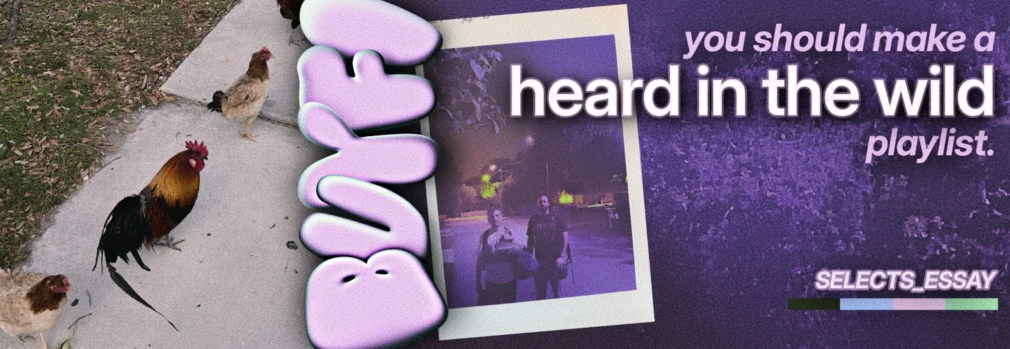 You should make a "heard in the wild" playlist. (ESSAY)